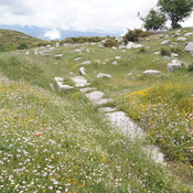 Stoa