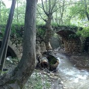 Bridge