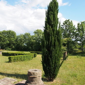 Villa Rustica (Wachenheim)