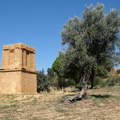 Tomb of Theron, Agrigentum [Akragas]