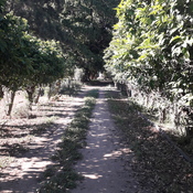 Ferme Gomez