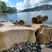 South harbour