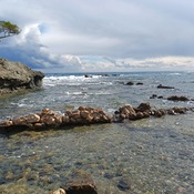 Central harbour