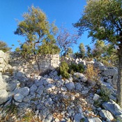 (Monks?) Dwellings.