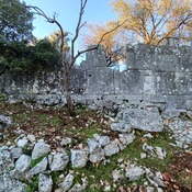 Apollonia Herron Masonry