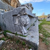 Stone seating decoration. E. of Apollo temple.