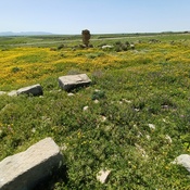 'Northern' Mausoleum remains