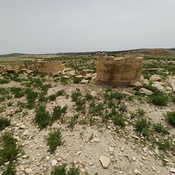 Ammaedara  (East gate) Necropolis