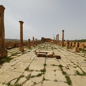 Ammaedara, 'Basilica of Melleus'