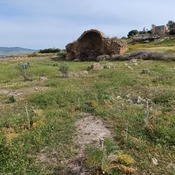 Market Basilica apse