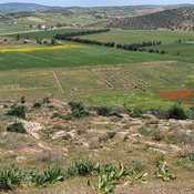 Simitthus labour camp.