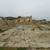 Forum