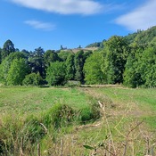 Blick von der Strasse