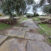 Smintheion Sacred Road