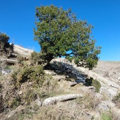 Blaundos theatre remains