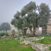 West necropolis