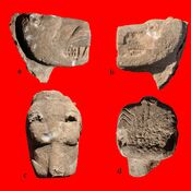 Fragment of sculpture depicting the head of a leopard from Ayanlar Höyük