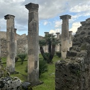 Domus