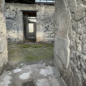 Domus