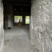 Domus