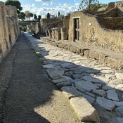 Cardo
