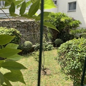 Stadtmauer