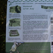 Kleinkastell Unter-Widdersheim