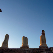 The Capitolium reconstructed columns, a temple dedicated to Jupiter, Juno and Minerva