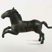 Steigerende jonge hengst