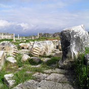 Remains of the Temple of Artemis Leukophryene, Magnesia ad Maeandrum