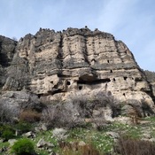 Solaklar