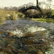 Roman Bridge