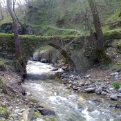 Roman Bridge
