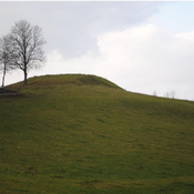 Maradki