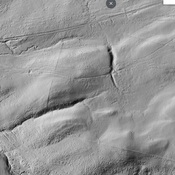 Arhosfa'r Garreg Marching Camp