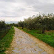Via Cassia antica