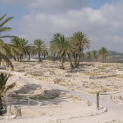 View on the settlement Megiddo