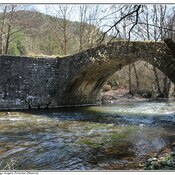 Puente medieval sobre el río Arga