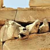 Parthenon, detail of the east pediment.