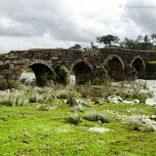 Puente romano del Notario