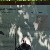 Alteburg (Zell Mosel)