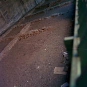 Alba Docilia (Albisola, 1984)