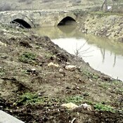 Roman Bridge