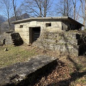 Biberlikopf