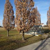 Schutzbau Römische Ziegelei