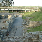 Binchester Roman Fort