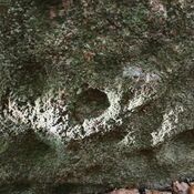 Bjørnemose Skålsten, Svendborg