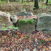 Bjørnemose Skålsten, Svendborg