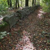 Bjørnemose Skålsten, Svendborg