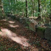 Bjørnemose Skålsten, Svendborg